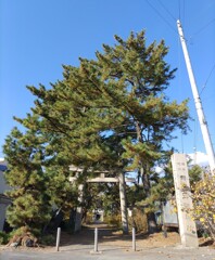 [神社]玉敷