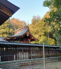 [神社]護国