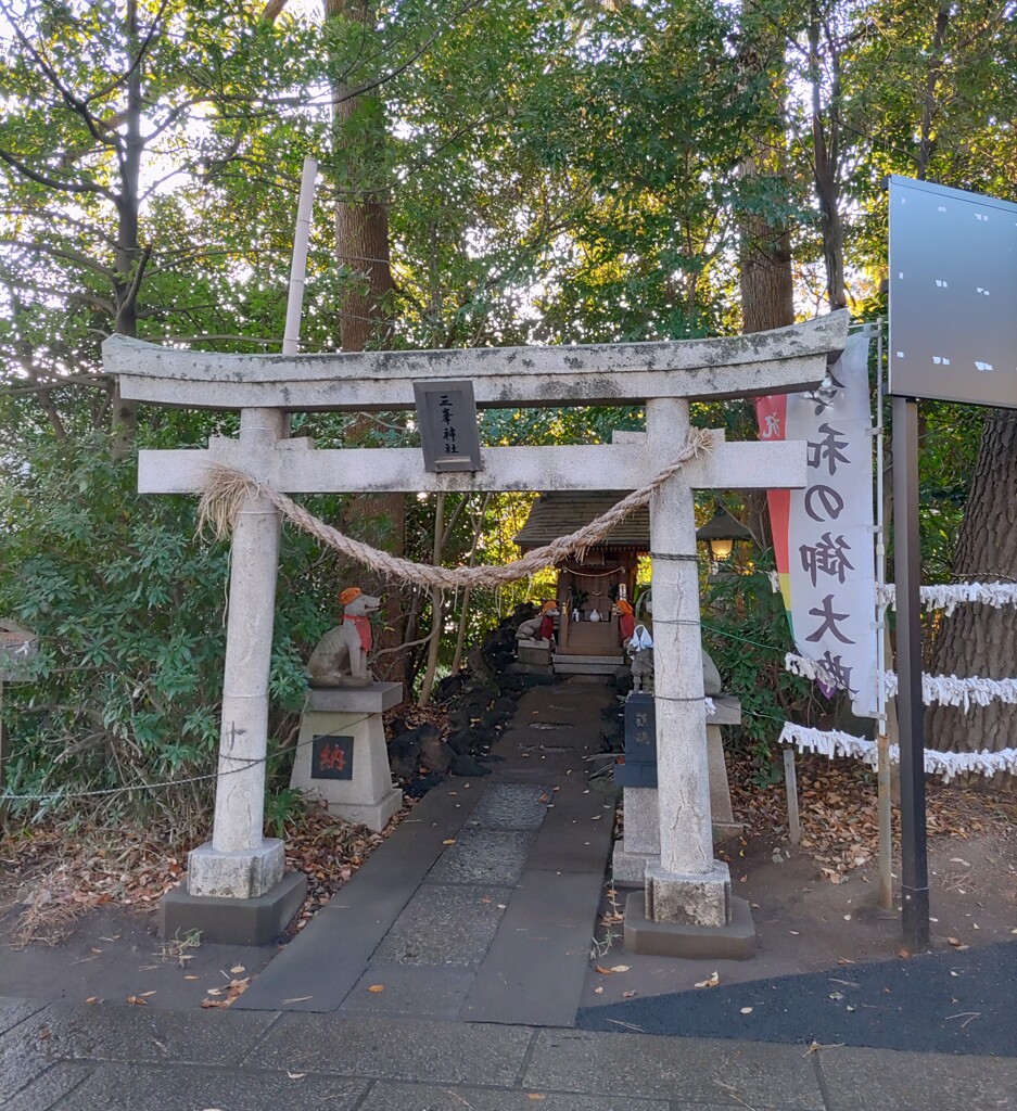 [神社]三峯