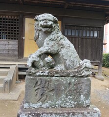 [狛犬]右