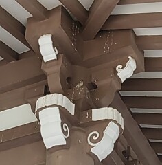 ｢ｽｽﾞﾒ｣