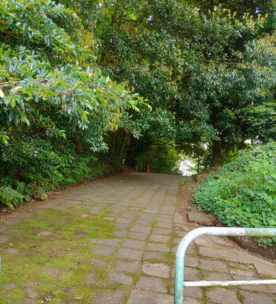 [径風景]