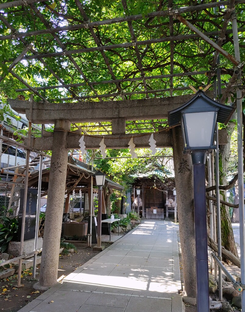 [神社]氷川