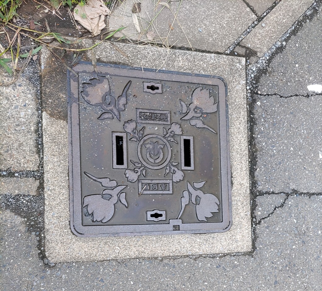 【街中】ﾏﾝﾎｰﾙ
