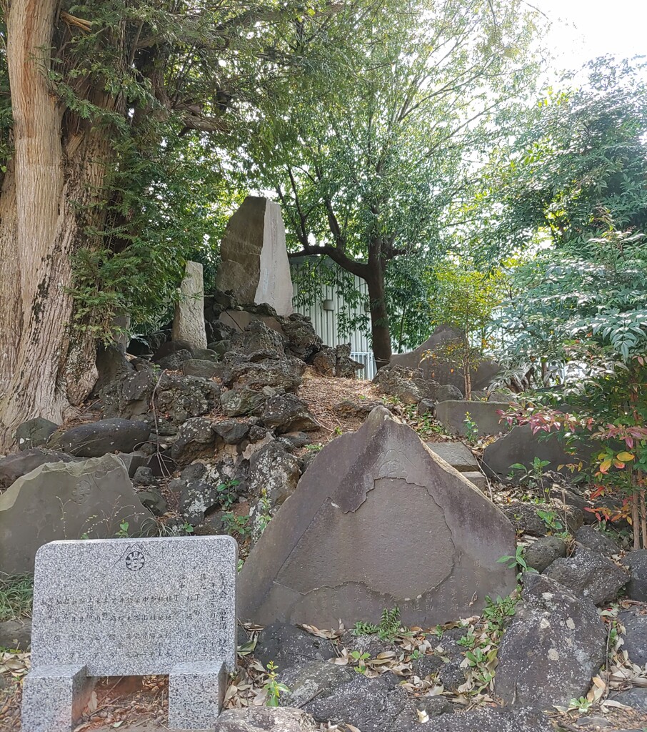 [富士塚]