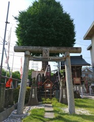 [浅間神社]
