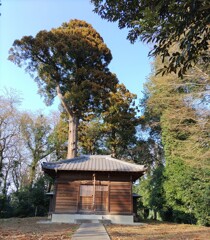 [諏訪神社]