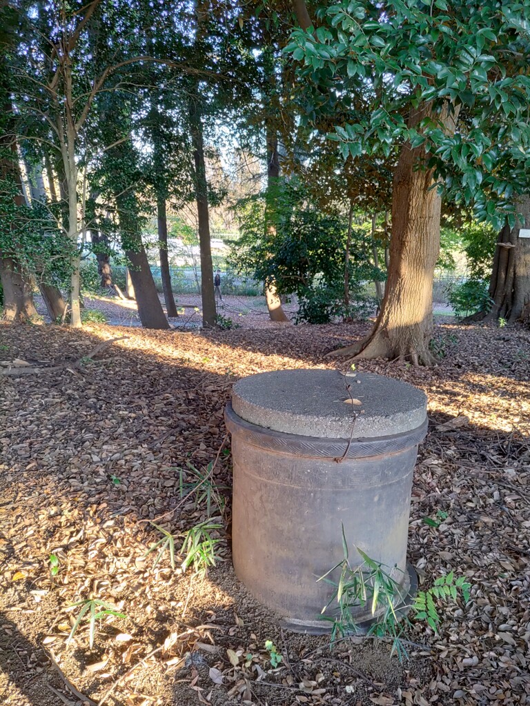 【水】井戸