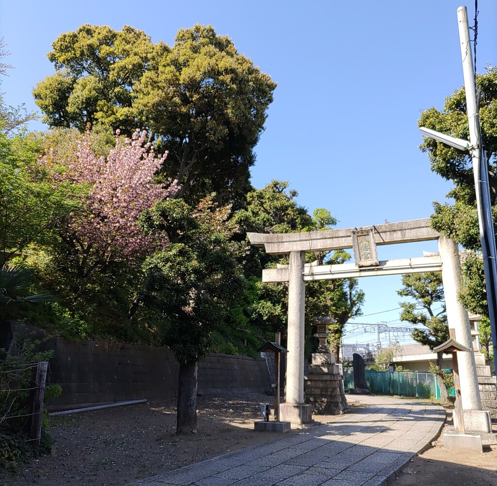 [八幡神社]