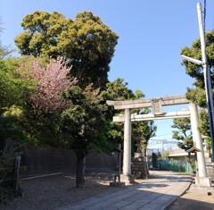 [神社]八幡