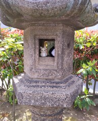 [ｵｳﾞｼﾞｪ]