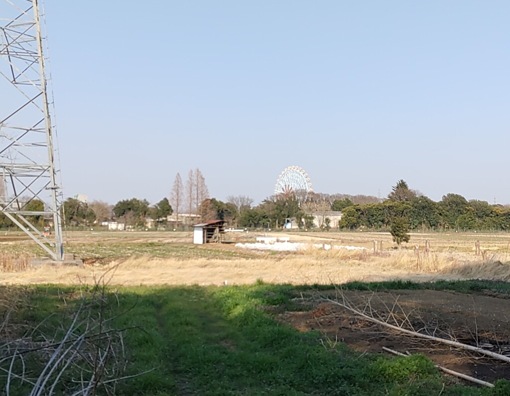 [田園風景]