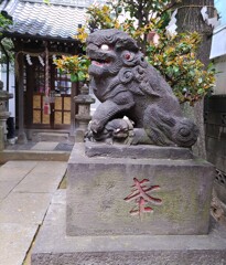 [狛犬]右