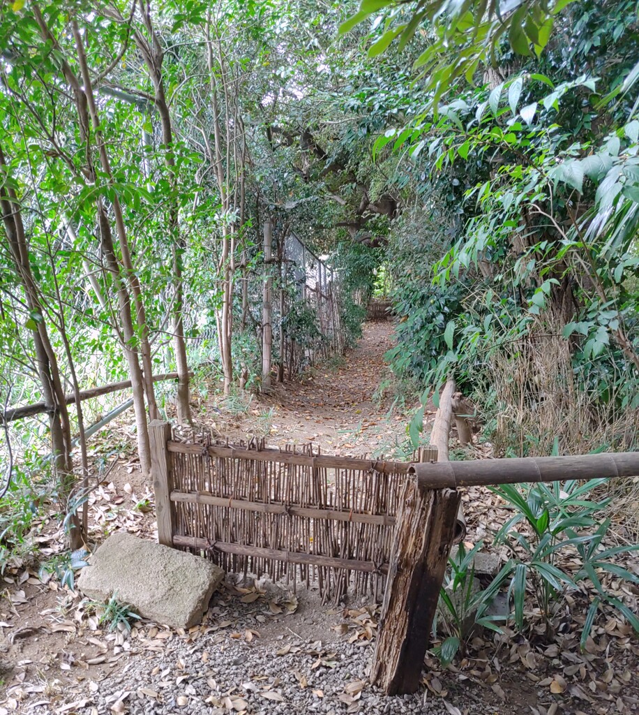 [径風景]