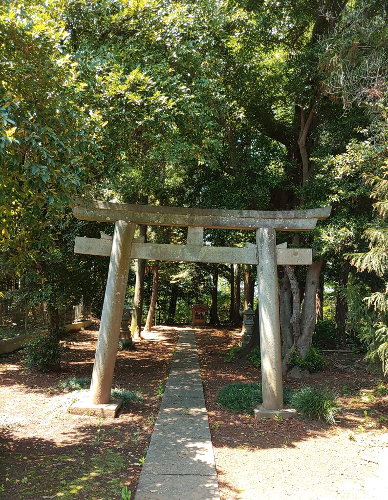 [穂積神社]