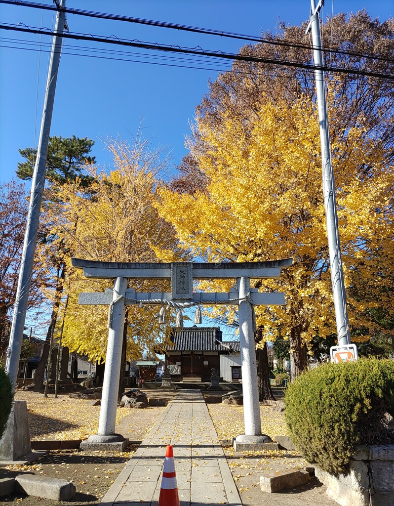 [天神神社]