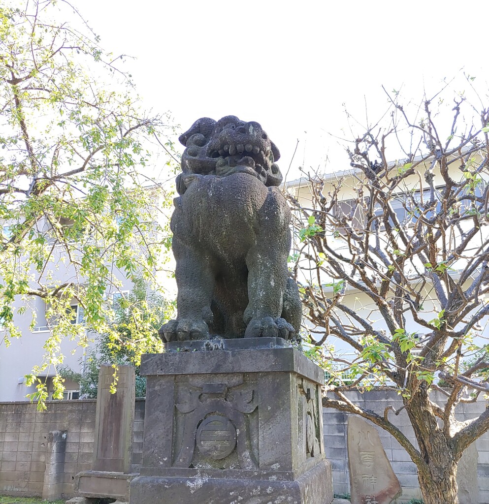 [狛犬]右