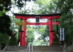 [八幡神社]