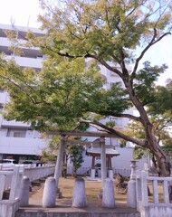 [稲荷神社]