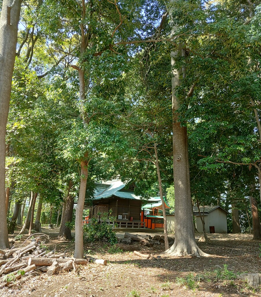 [神社]大門