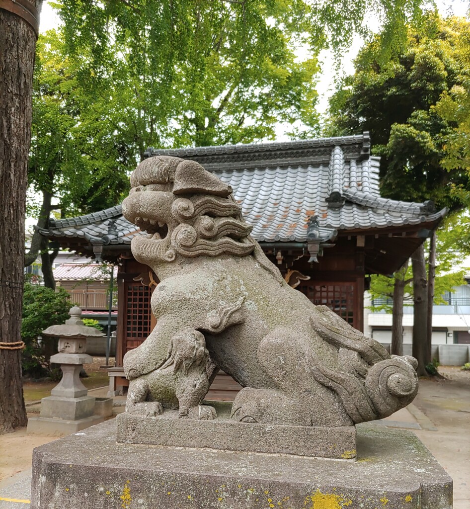 [狛犬]右
