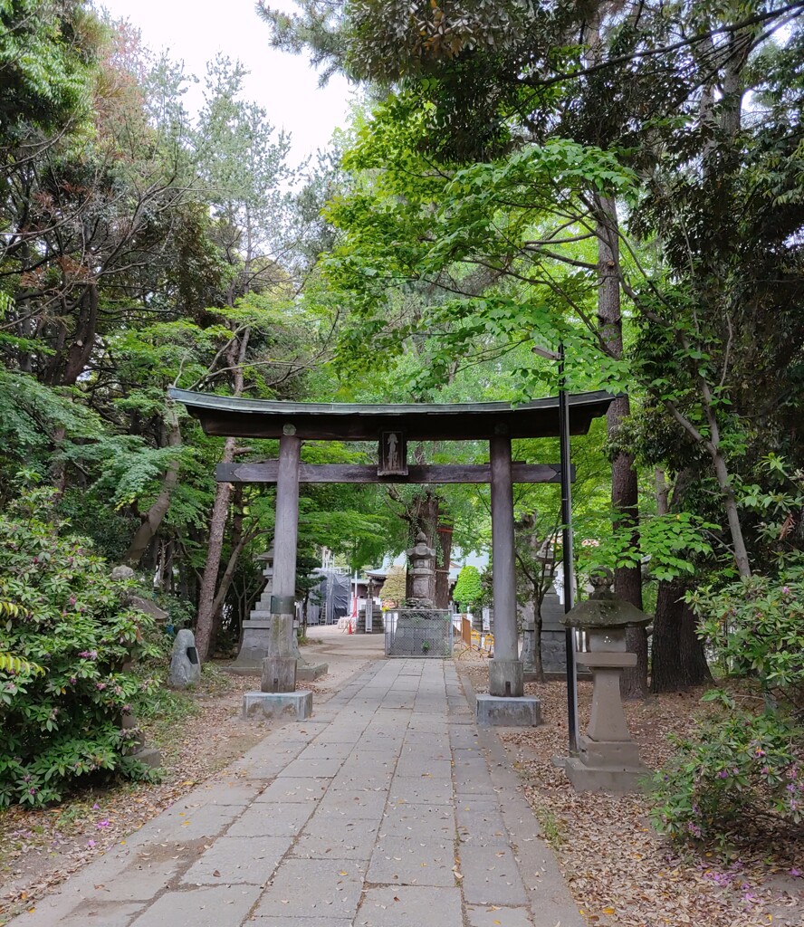 [八幡神社]
