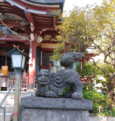 [狛犬]右