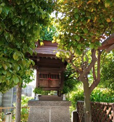 [宝登山神社]