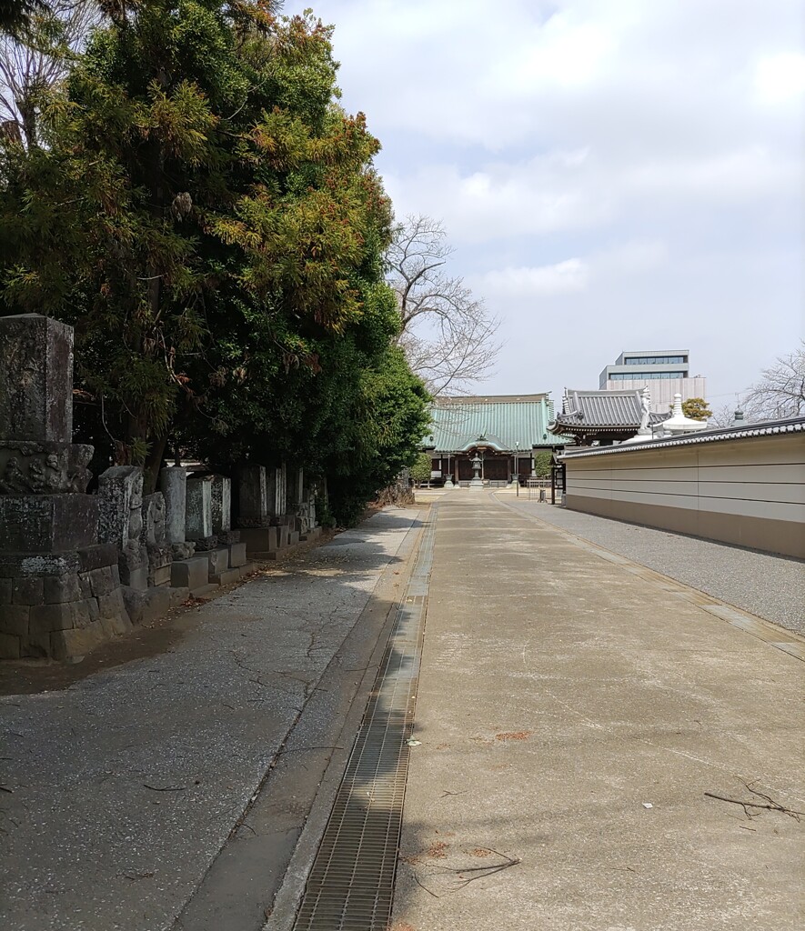 [径風景]