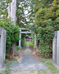 [八幡神社]