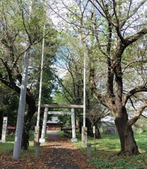 [神社]氷川