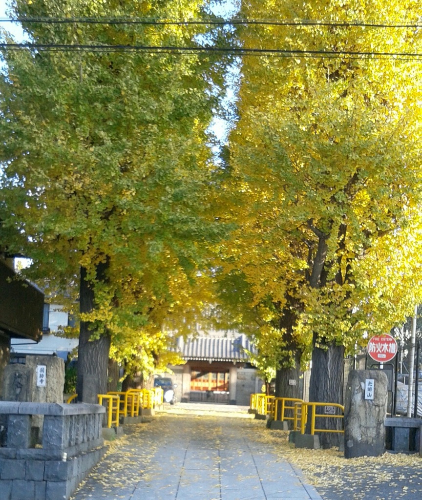 [通]寺門