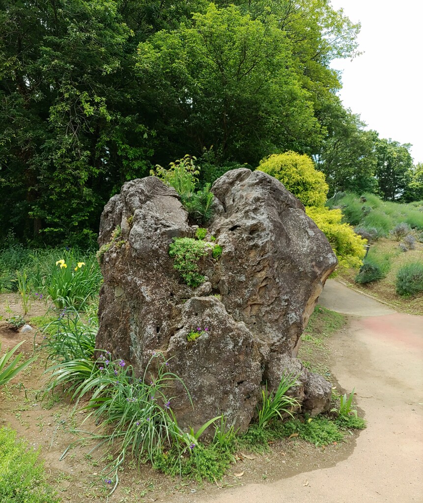 『岩』