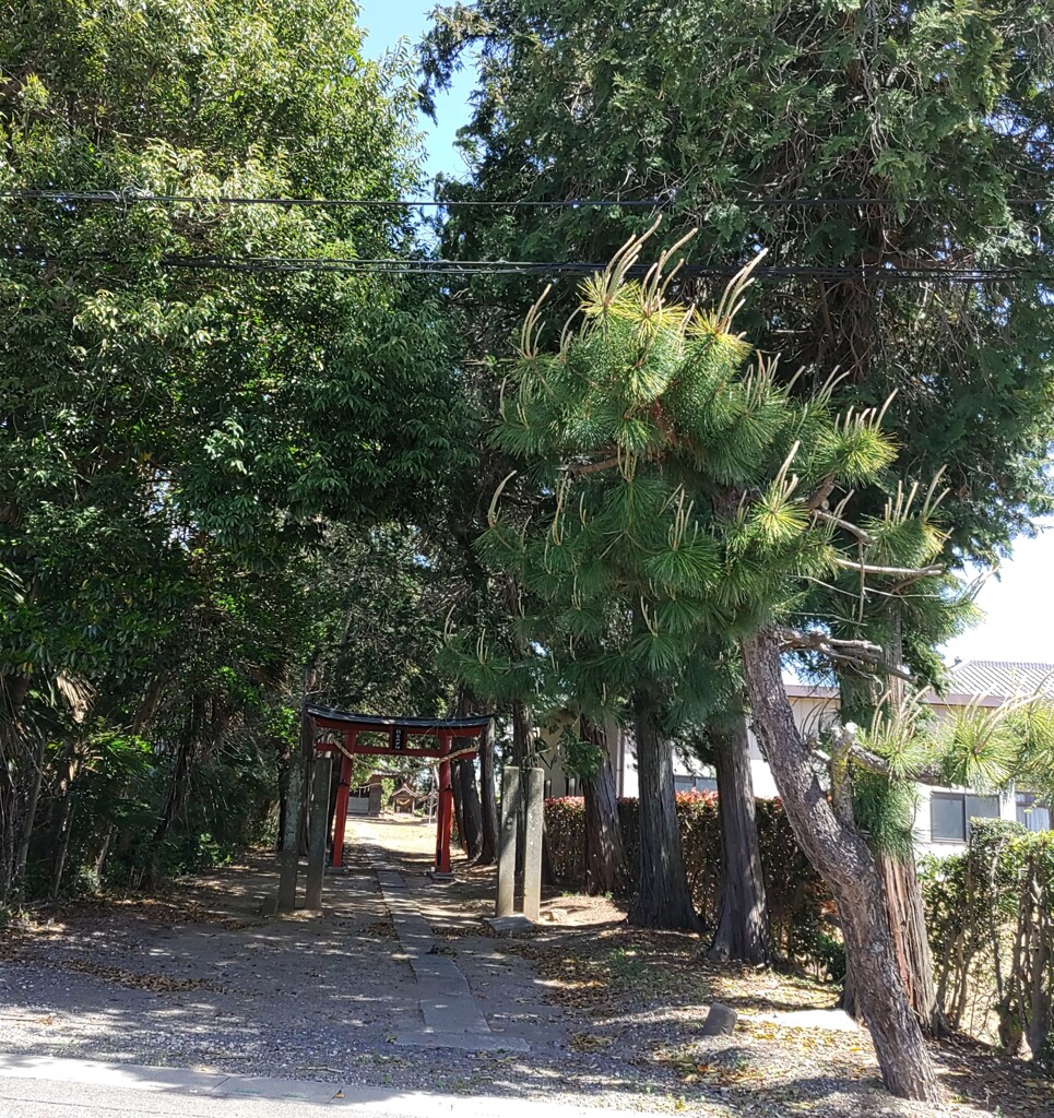 [氷川神社]