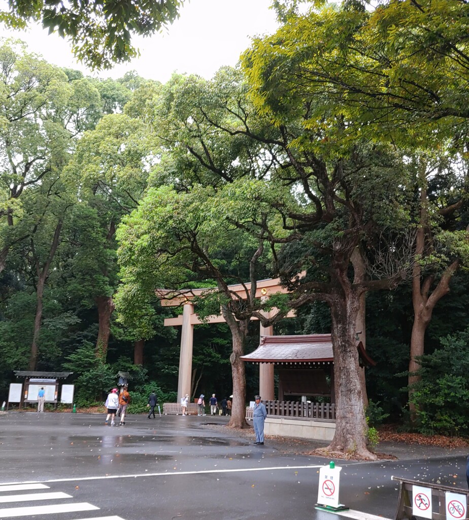 [明治神宮]
