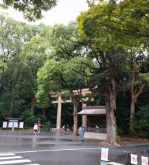 [明治神宮]