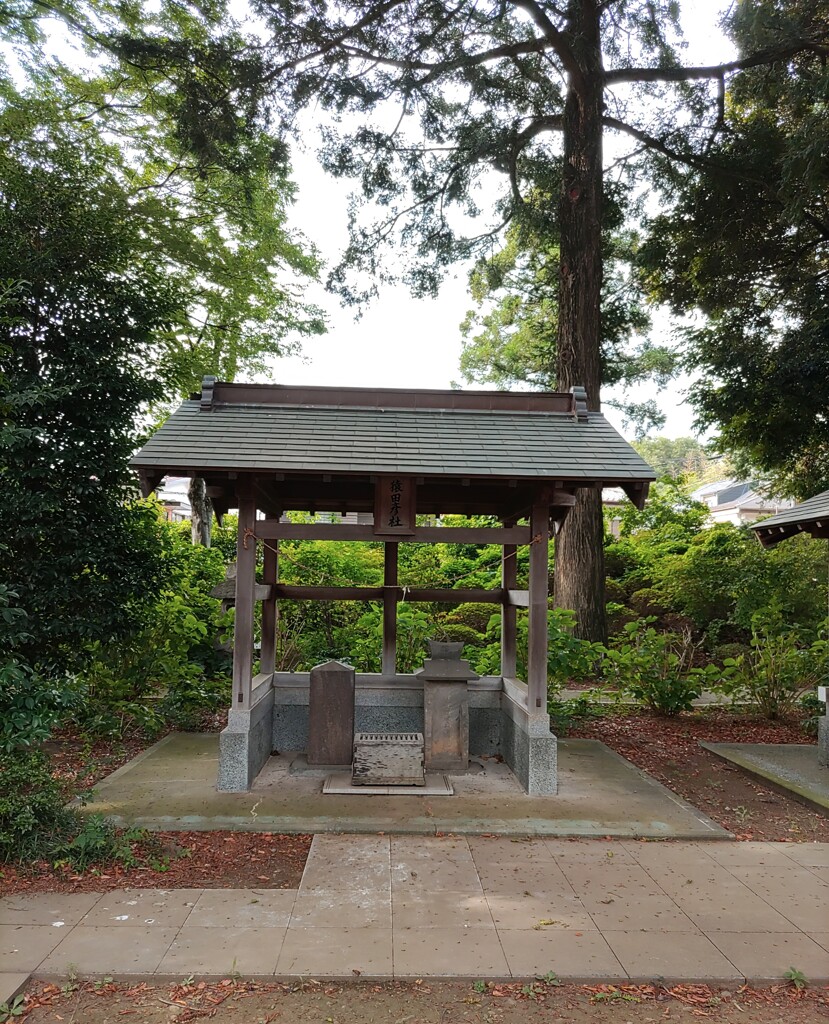 [神社]猿田彦