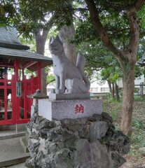 [神使]狐