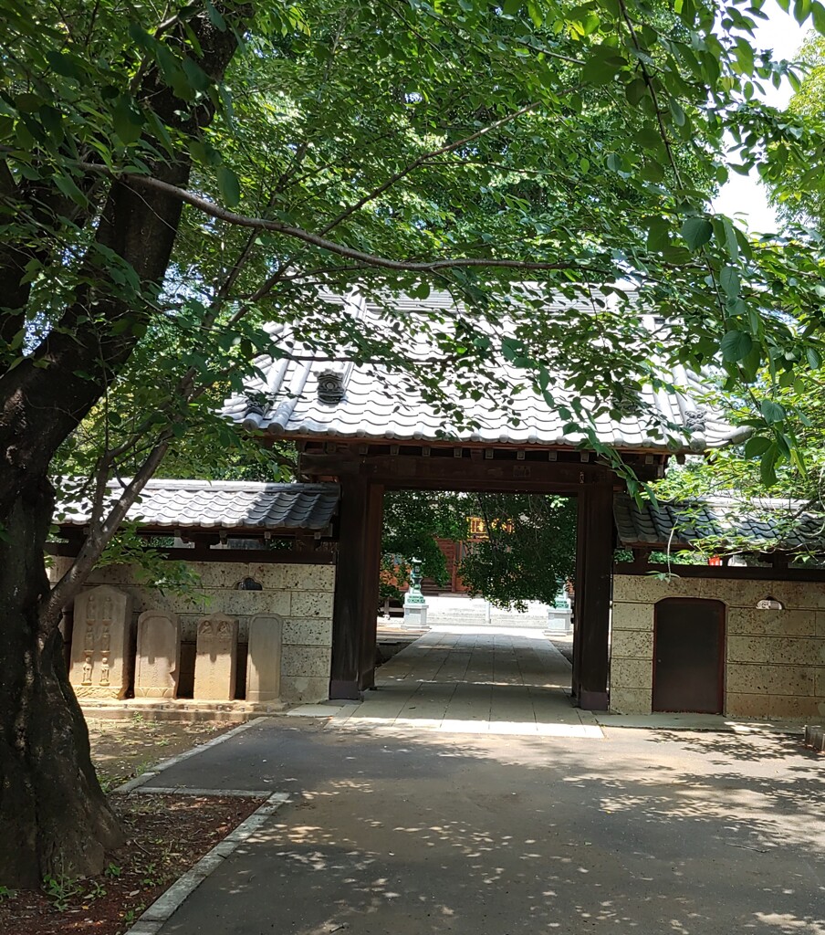 [通]寺門