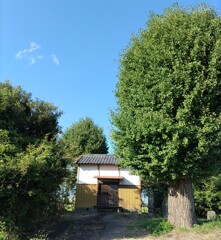 [神社]八幡