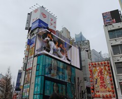 【街中】掲示板