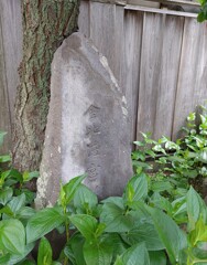 [金比羅宮]