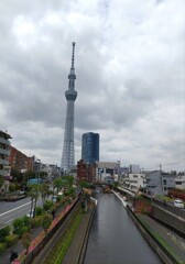 [ｽｶｲﾂﾘｰ]