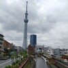 [ｽｶｲﾂﾘｰ]