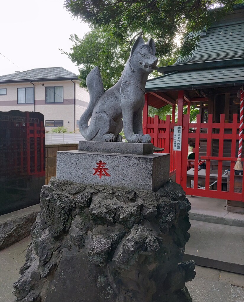 [神使]狐