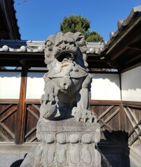 [狛犬]右