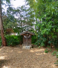 [神社]八坂