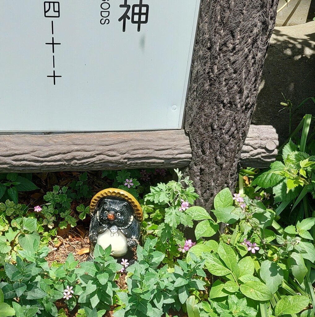 [ｵｳﾞｼﾞｪ]狸