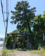 [諏訪神社]