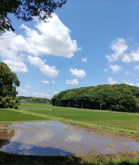 『田園風景』